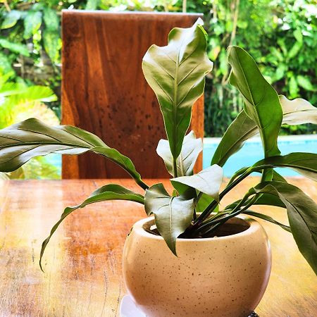 Danaya'S Villa Ubud Kültér fotó