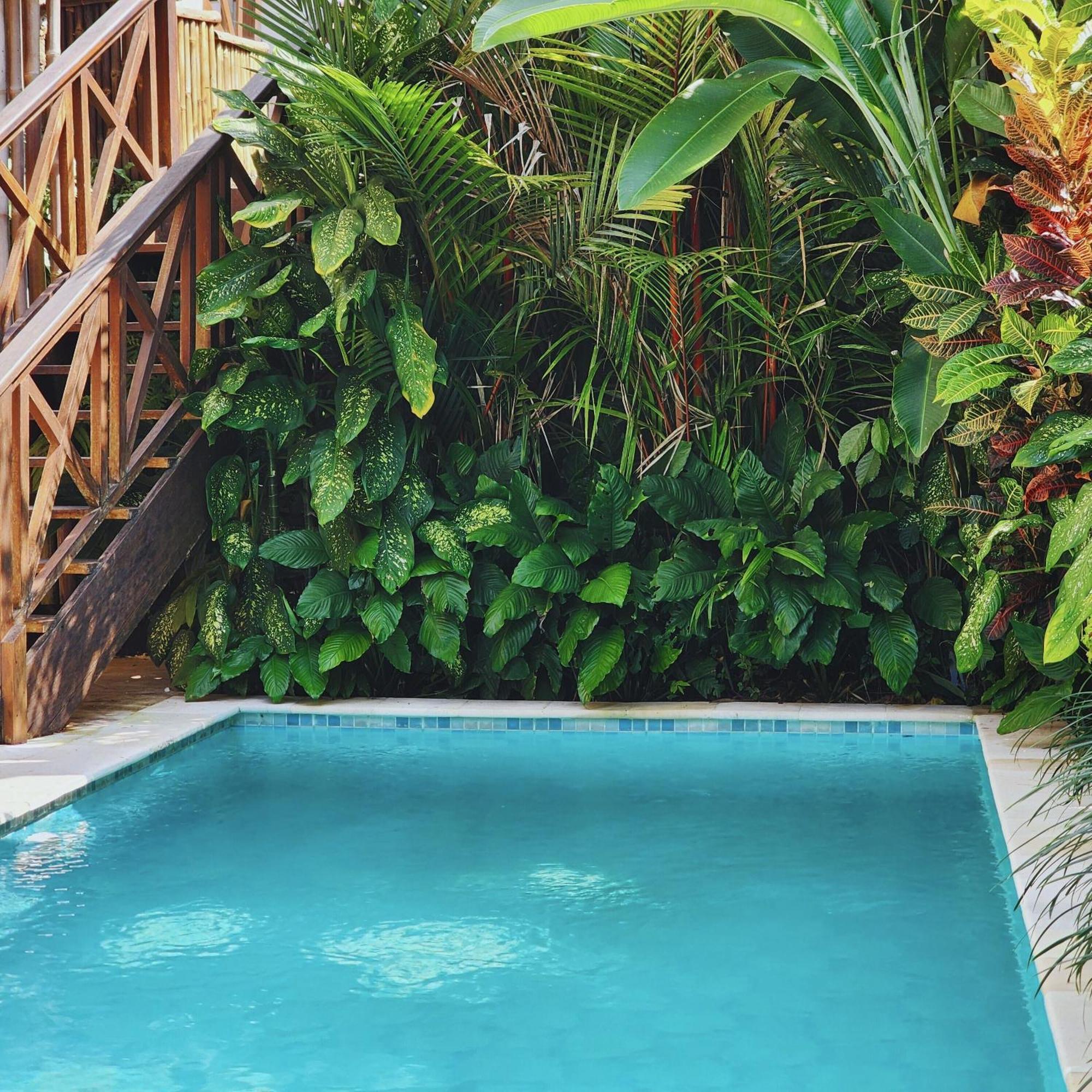 Danaya'S Villa Ubud Kültér fotó